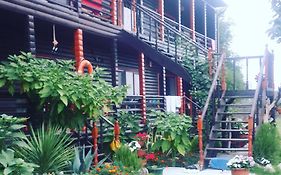 Black-house Guest House